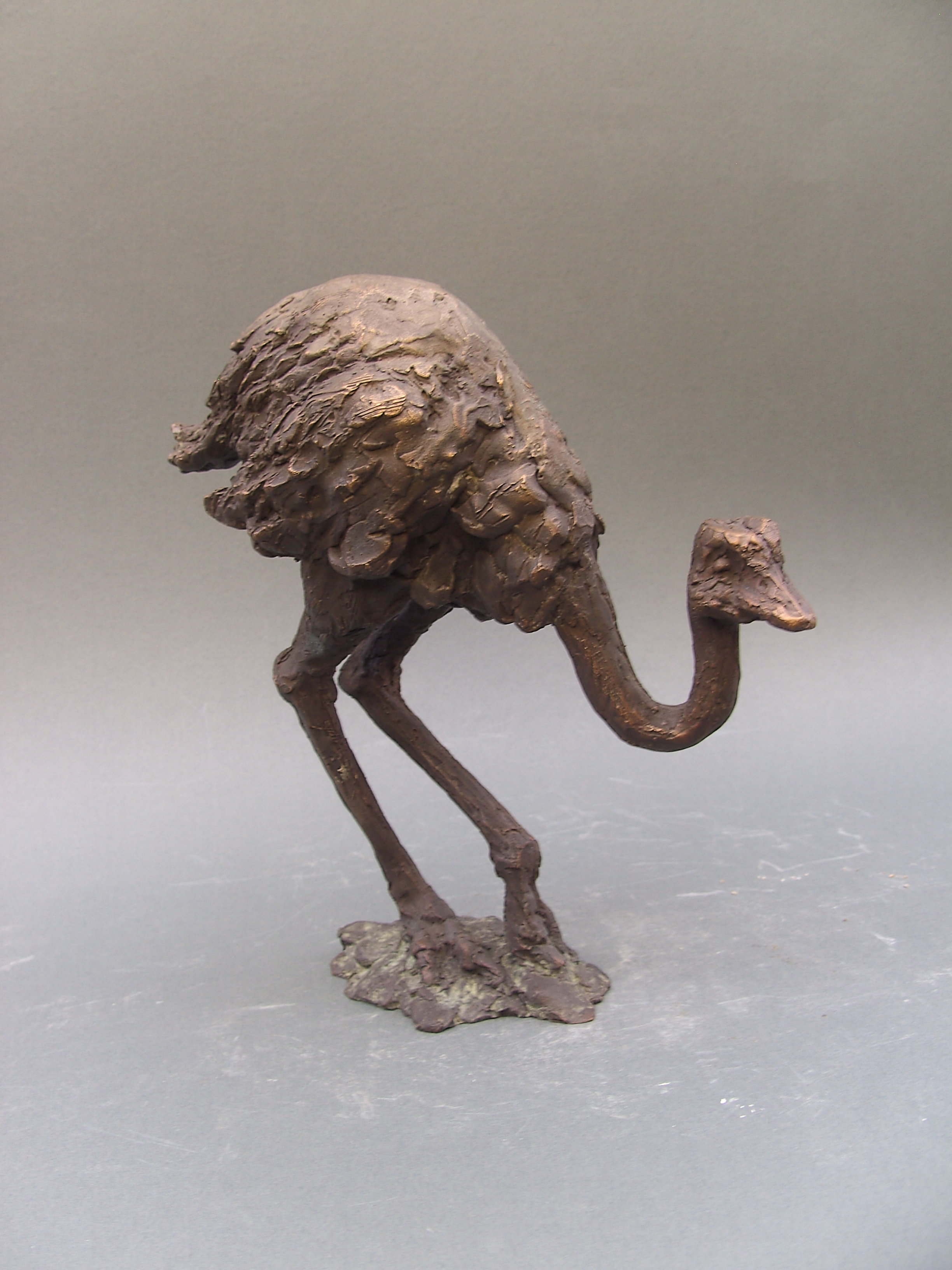 Ostrich, 22x24x9, Bronze, 2013