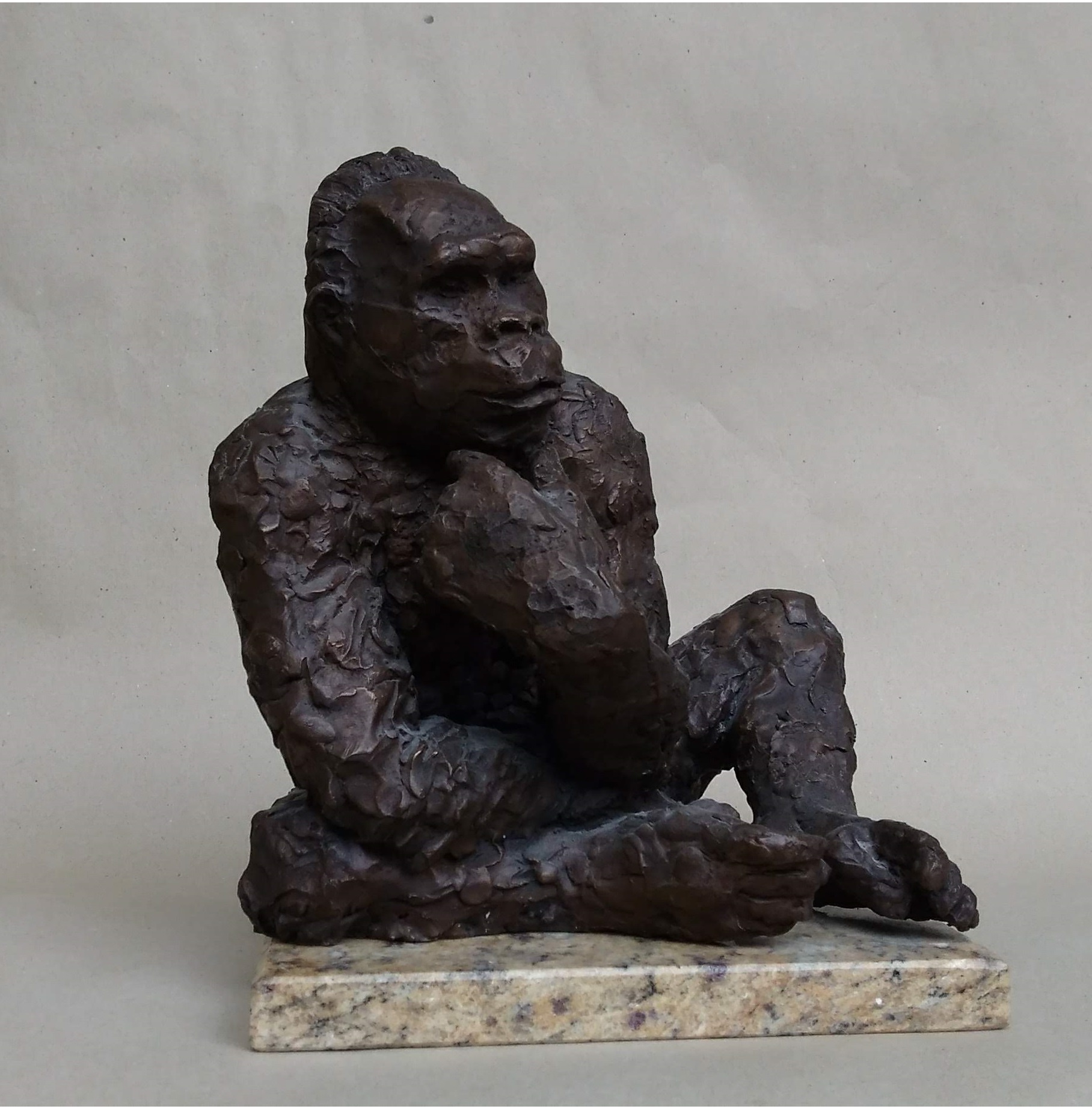 Gorilla, 26x21x20, Bronze, 2012